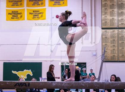 Thumbnail 1 in Shore Conference Gymnastics Championship photogallery.