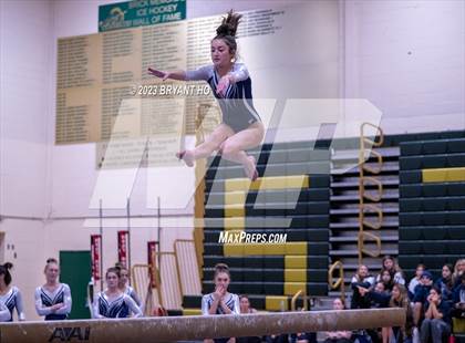 Thumbnail 3 in Shore Conference Gymnastics Championship photogallery.