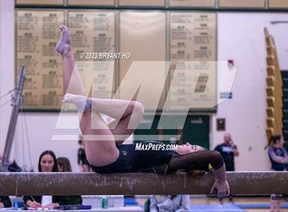 Thumbnail 2 in Shore Conference Gymnastics Championship photogallery.