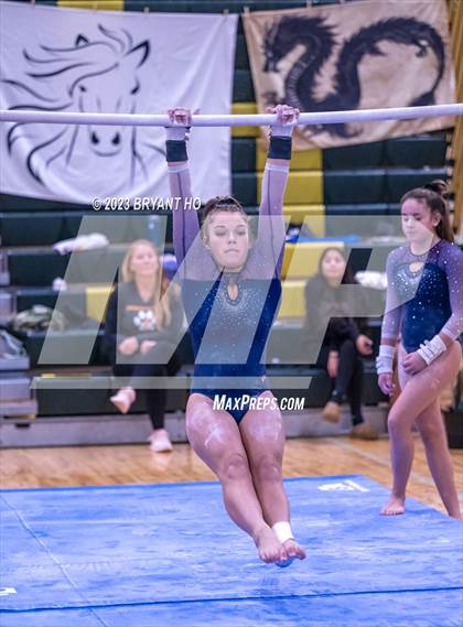 Thumbnail 1 in Shore Conference Gymnastics Championship photogallery.