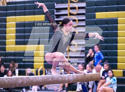 Thumbnail 1 in Shore Conference Gymnastics Championship photogallery.