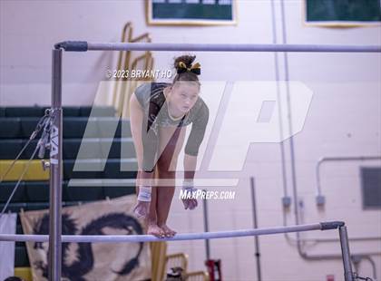 Thumbnail 3 in Shore Conference Gymnastics Championship photogallery.
