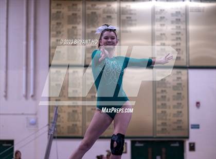 Thumbnail 1 in Shore Conference Gymnastics Championship photogallery.
