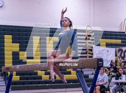 Thumbnail 1 in Shore Conference Gymnastics Championship photogallery.