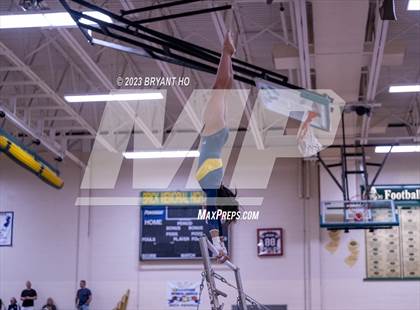 Thumbnail 2 in Shore Conference Gymnastics Championship photogallery.
