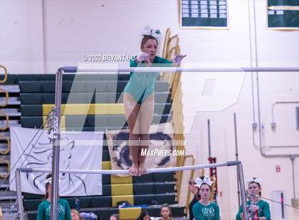 Thumbnail 2 in Shore Conference Gymnastics Championship photogallery.