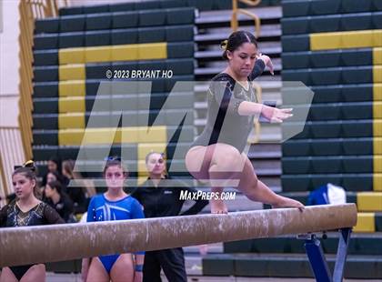 Thumbnail 3 in Shore Conference Gymnastics Championship photogallery.