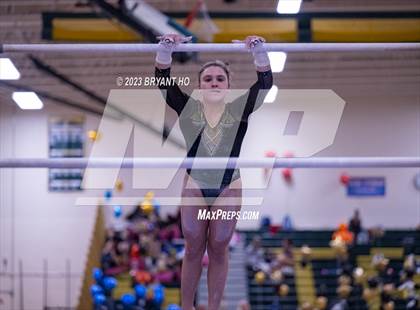 Thumbnail 1 in Shore Conference Gymnastics Championship photogallery.