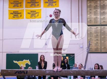 Thumbnail 3 in Shore Conference Gymnastics Championship photogallery.