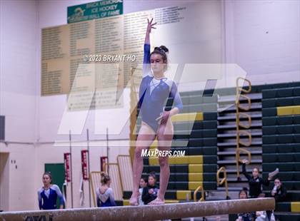 Thumbnail 3 in Shore Conference Gymnastics Championship photogallery.