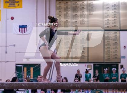 Thumbnail 3 in Shore Conference Gymnastics Championship photogallery.