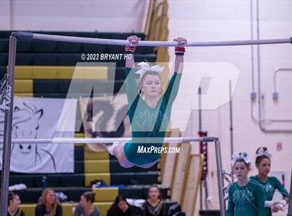Thumbnail 1 in Shore Conference Gymnastics Championship photogallery.