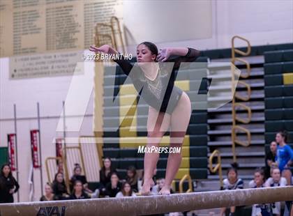 Thumbnail 1 in Shore Conference Gymnastics Championship photogallery.