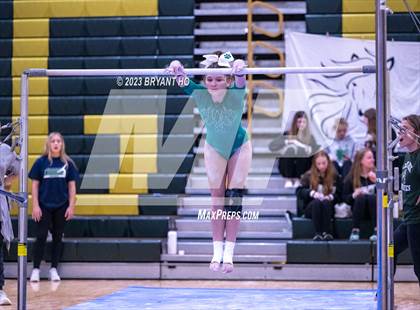 Thumbnail 1 in Shore Conference Gymnastics Championship photogallery.