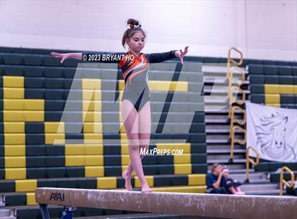 Thumbnail 2 in Shore Conference Gymnastics Championship photogallery.