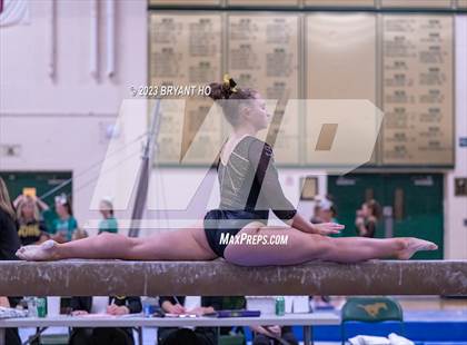 Thumbnail 2 in Shore Conference Gymnastics Championship photogallery.