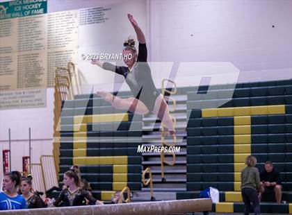 Thumbnail 2 in Shore Conference Gymnastics Championship photogallery.