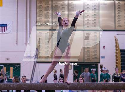 Thumbnail 1 in Shore Conference Gymnastics Championship photogallery.