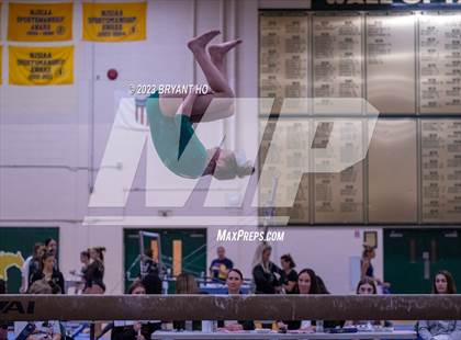 Thumbnail 1 in Shore Conference Gymnastics Championship photogallery.
