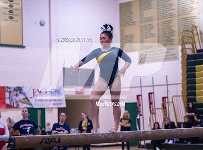 Thumbnail 3 in Shore Conference Gymnastics Championship photogallery.