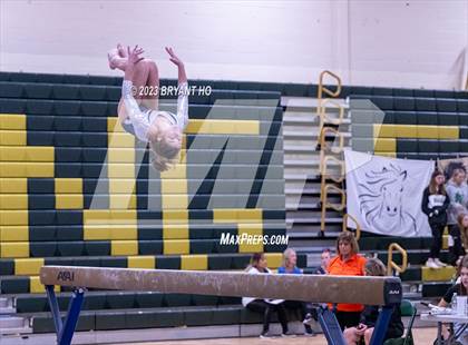 Thumbnail 3 in Shore Conference Gymnastics Championship photogallery.