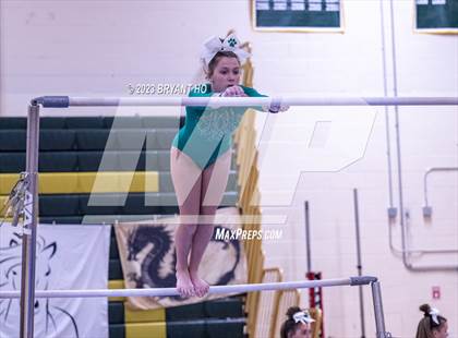 Thumbnail 1 in Shore Conference Gymnastics Championship photogallery.