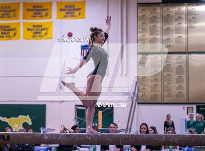 Thumbnail 1 in Shore Conference Gymnastics Championship photogallery.