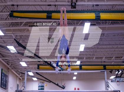 Thumbnail 3 in Shore Conference Gymnastics Championship photogallery.