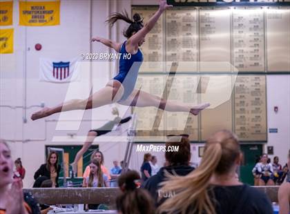 Thumbnail 1 in Shore Conference Gymnastics Championship photogallery.