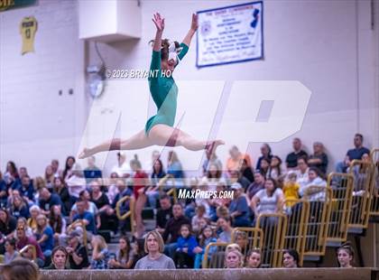 Thumbnail 1 in Shore Conference Gymnastics Championship photogallery.