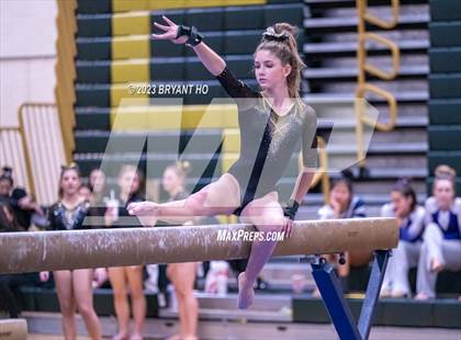 Thumbnail 2 in Shore Conference Gymnastics Championship photogallery.