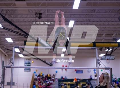 Thumbnail 1 in Shore Conference Gymnastics Championship photogallery.