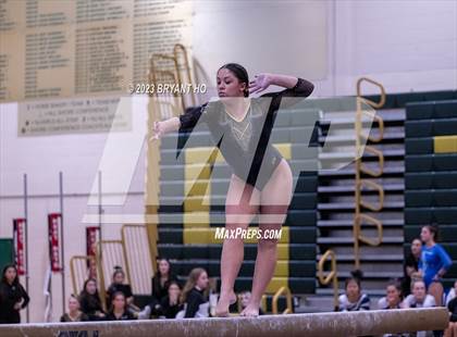 Thumbnail 3 in Shore Conference Gymnastics Championship photogallery.