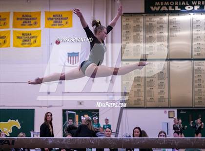 Thumbnail 1 in Shore Conference Gymnastics Championship photogallery.