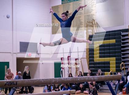 Thumbnail 1 in Shore Conference Gymnastics Championship photogallery.