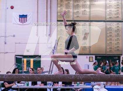 Thumbnail 2 in Shore Conference Gymnastics Championship photogallery.