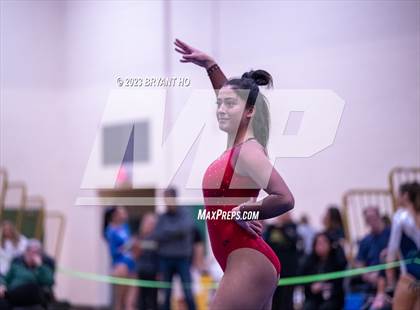 Thumbnail 2 in Shore Conference Gymnastics Championship photogallery.