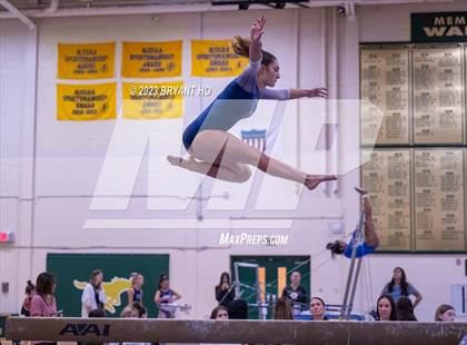 Thumbnail 2 in Shore Conference Gymnastics Championship photogallery.