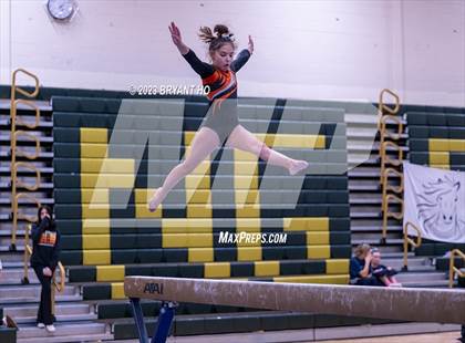 Thumbnail 3 in Shore Conference Gymnastics Championship photogallery.