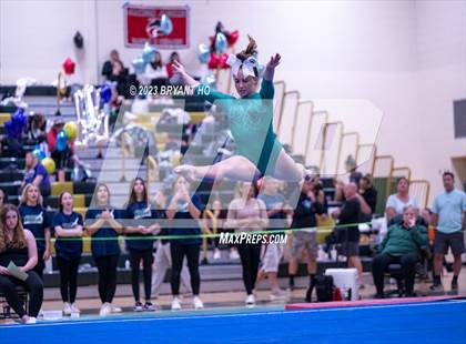 Thumbnail 3 in Shore Conference Gymnastics Championship photogallery.