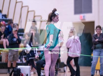 Thumbnail 1 in Shore Conference Gymnastics Championship photogallery.