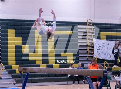 Thumbnail 2 in Shore Conference Gymnastics Championship photogallery.
