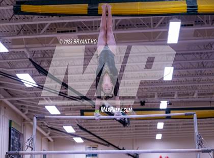 Thumbnail 1 in Shore Conference Gymnastics Championship photogallery.
