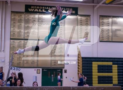 Thumbnail 1 in Shore Conference Gymnastics Championship photogallery.