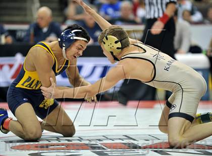 Thumbnail 2 in PIAA AA Wrestling Championships (Finals) photogallery.