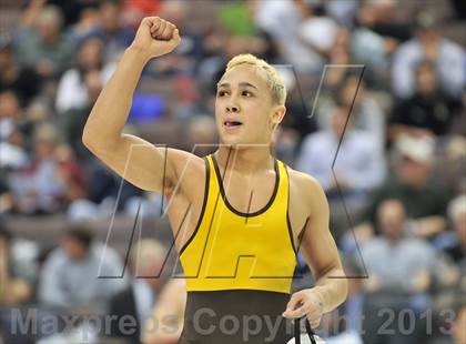 Thumbnail 2 in PIAA AA Wrestling Championships (Finals) photogallery.