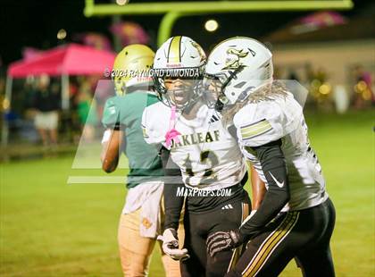 Thumbnail 1 in Oakleaf @ Fleming Island photogallery.