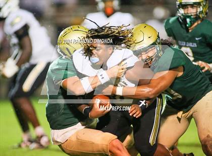 Thumbnail 3 in Oakleaf @ Fleming Island photogallery.