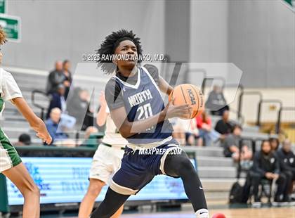 Thumbnail 2 in JV: North Port @ Venice photogallery.