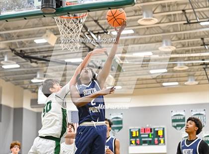 Thumbnail 2 in JV: North Port @ Venice photogallery.